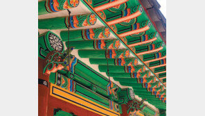 [DBR/Case Study 朝鮮]폐단 심한 서원 없앴지만… ‘지방교육’ 긍정효과도 함께 사라져