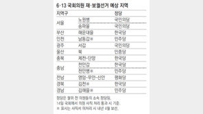 14일 4명 사직 처리되면 12곳 6월 재보선
