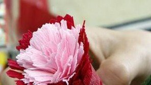 김영란법 시행 후 두번째 스승의 날…학생 대표 카네이션만 ‘OK’