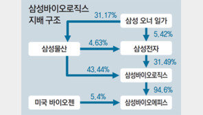 금감원, 삼성물산도 정밀감리… 삼성감독원?