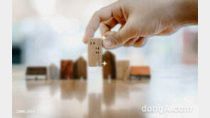 [정우룡의 부자東] ‘똘똘한 한 채’만이 답일까