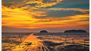 [2018 착한브랜드 대상]생활복지 실현한 ‘아름다운 고창’