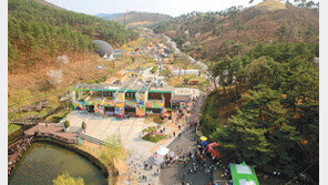 [2018 착한브랜드 대상]대가야체험축제, 대가야의 문화-역사 세계에 자랑