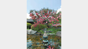 [부처님오신날]지친 마음 씻고 가게나