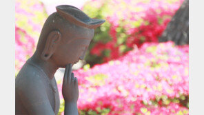 [부처님오신날]바쁜 일상, 잠시 쉬었다 갑시다