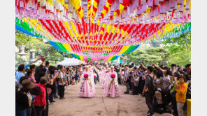 [부처님오신날]부처님 오신 뜻 되새기며… 3만개 오색연등, 봉은사를 수놓다
