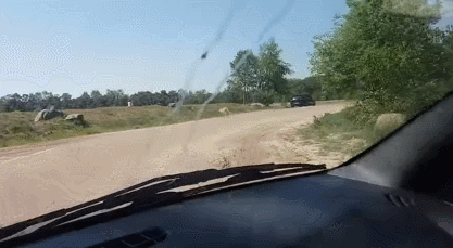 [영상]차에서 내리지 말라는 사파리 규정 무시한 일가족 참변 당할 뻔