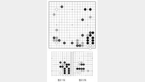 [바둑]알파고 vs 알파고 특선보… 뜬구름 잡는 수