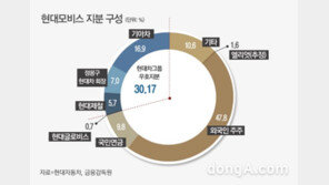 ‘국내 vs 해외’ 현대차그룹 지배구조 개편 ‘새국면’… 뜻밖의 지원군 등장