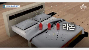 “라돈 침대, 가습기살균제 사건과 굉장히 유사”