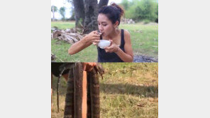 멸종위기 동물 ‘먹방’한 유튜버 부부, 조사 받자 “시장서 샀다”주장