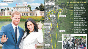 10만 인파속 마차 타고 윈저마을 행진