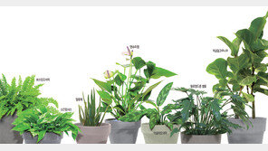 “녹색의 착한 친구, 그렇게 어렵지 않아요∼”