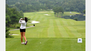 골프 스타 산실 베어크리크배 아마대회 22일 개막 