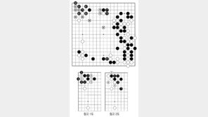 [바둑]알파고 vs 알파고 특선보… 깊고 튼튼한 백 세력