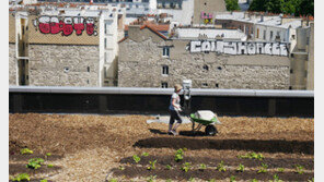 “옥상은 훌륭한 텃밭… 파리 시민도 반했죠”