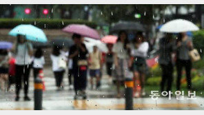[날씨]‘부처님 오신 날’ 오후부터 흐려져 밤부터 비…미세먼지 농도는 ‘좋음’