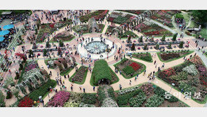 형형색색 지구촌 장미 섬진강 마을에 활짝