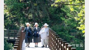 [고양이 눈]같이 갑시다