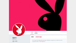 웹툰 불법유통 ‘밤토끼’ 운영자 검거…레진코믹스 “웹툰 업계에 단비같은 소식”