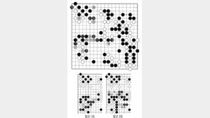 [바둑]알파고 vs 알파고 특선보… 복잡한 함수