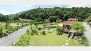 핀란드산 소나무로 지은 목조주택 단지 