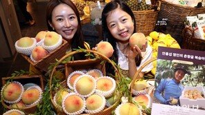 “햇복숭아 나왔어요”