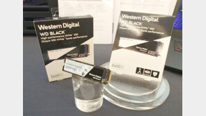 WD, 3400MB/s 초고속 SSD, WD 블랙 3D NVMe 출시