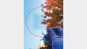 나노 신소재 ‘그래핀’ 활용… 투명 디스플레이에 한발 더