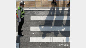 [고양이 눈]아스팔트 위의 파수꾼