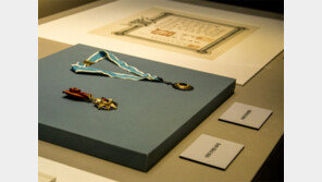 독립유공자 9명 낳은 안동 임청각 들여다보기