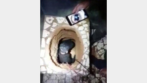 ‘쇼생크 탈출’ 꿈꾸던 죄수, 70m 땅굴 완공 막바지에…산소 부족으로 사망