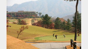 콘도-렌터카 등 이용 ‘멀티 골프 회원권’