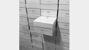 P-31, 편안한 착화감,디테일… 키 커지는 스니커즈