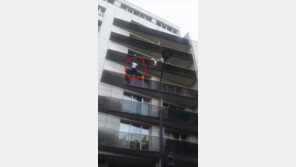 [영상]‘현실판 스파이더맨’ 30초 만에 아파트 5층 기어 올라가 아이 구조