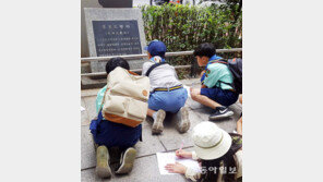 [고양이 눈]뭐해요?