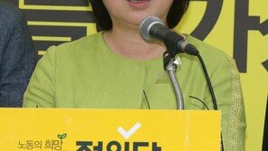 심삼정 “최저임금법 개정안은 최저임금개악법…민주당-한국당 짬짜미 막을 것”