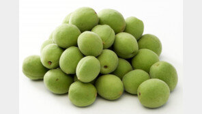 롯데마트, 31일부터 일주일간 ‘매실’ 판매