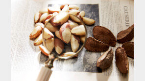 천연 셀레늄의 보고… 체내 ‘활성산소 제거’ 돕는다