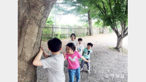 별빛테마 관광지로 거듭나는 영천 보현산… 6월 별빛테마마을-야영장 개장