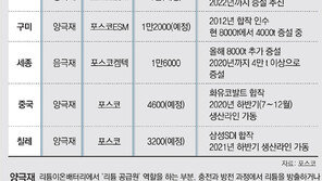 포스코 “미래 전기차 소재시장 우리가 주도한다”