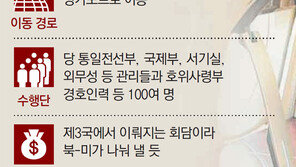 중국 항공기, 평양 출발해 싱가포르 도착