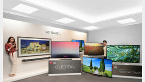 프리미엄 제품 중심 글로벌시장 출시 확대