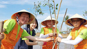베트남 ‘맹그로브 숲’ 복원 통해 지구 온난화에 대응