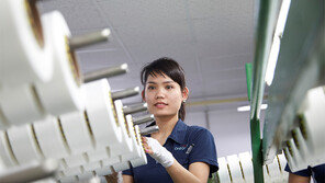 베트남 성공신화 이어 인도시장 점유율도 껑충