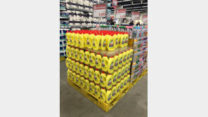 주방세제 ‘트리오’ 중국서 돌풍… 올해 1분기 수출 67% 성장