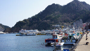 [김재범의 투얼로지] 강원 산골서 산삼 캐고…남도 바다서 조개 줍고