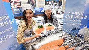 “노르웨이 수산물이 왔어요”