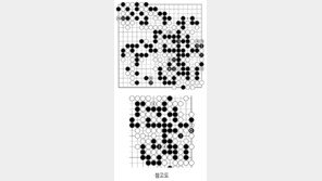 [바둑]알파고 vs 알파고 특선보… 훨씬 안전한 길