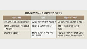 금감원, 의혹 제기했지만… 분식회계 ‘스모킹 건’ 못내놔